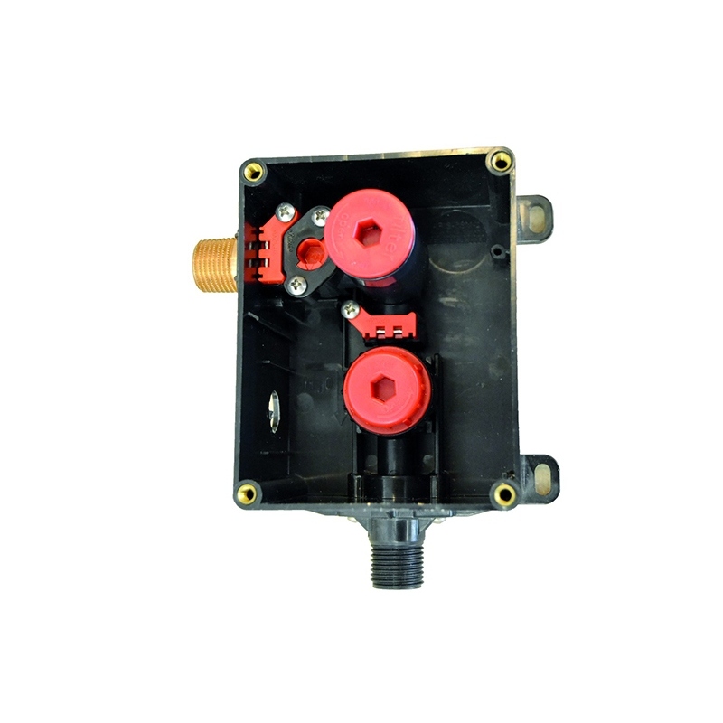 APIS 6 M2